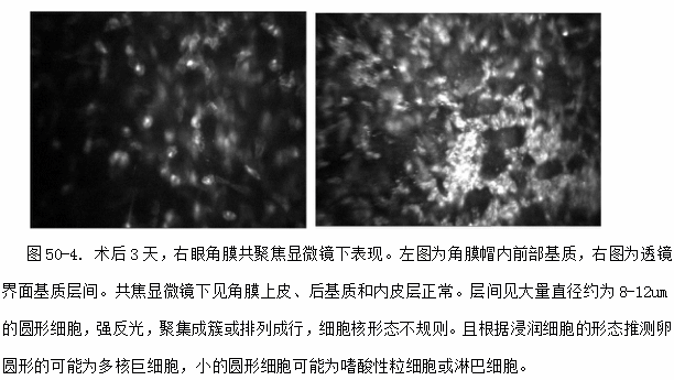 ZY016_268_5.gif